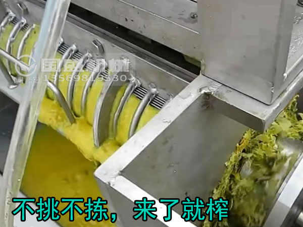 橘子皮壓榨機(jī) 橘子皮壓榨機(jī)